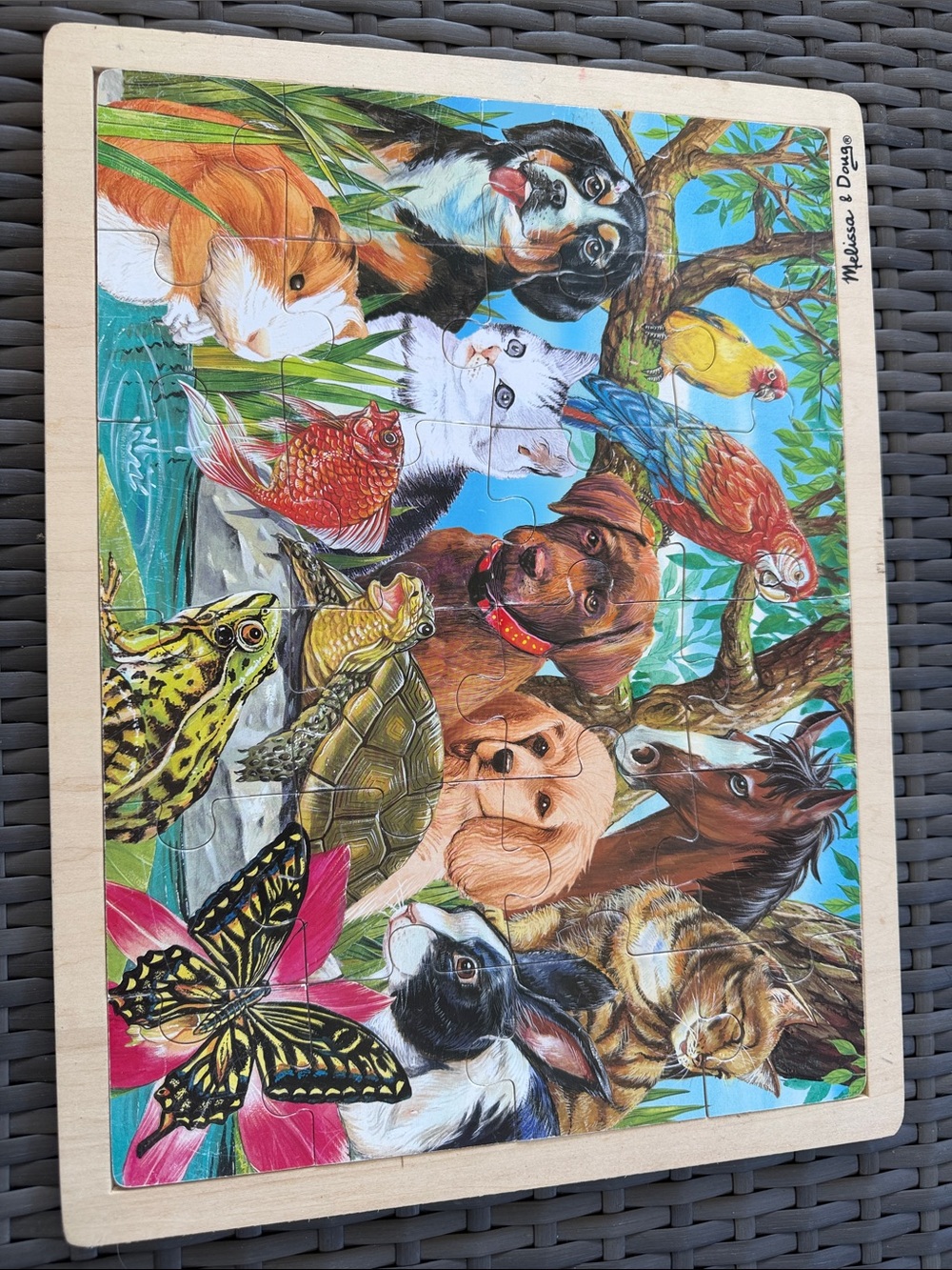 Melissa & Doug Pets Puzzle with Bright Blue Sky and Multicolor Animals
